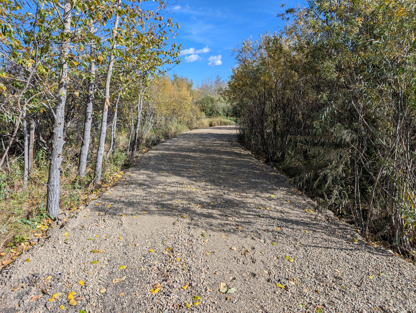One of three accesses to the scattering garden.